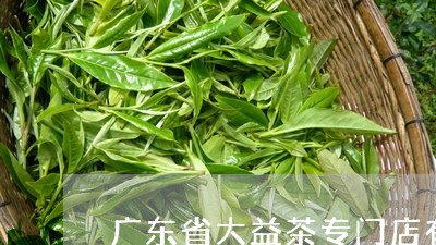 广东省大益茶专门店有多少间/2023052688506