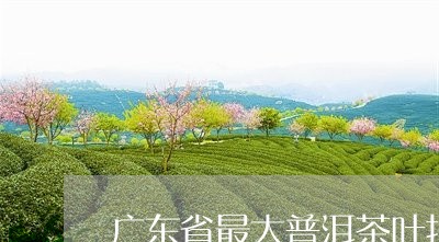 广东省最大普洱茶叶批发交易市场/2023060250373