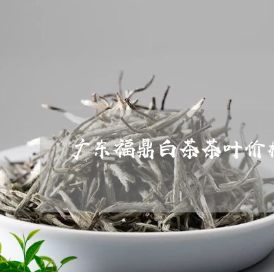 广东福鼎白茶茶叶价格/2023120793926