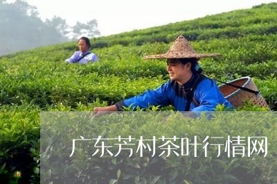 广东芳村茶叶行情网/2023042528050