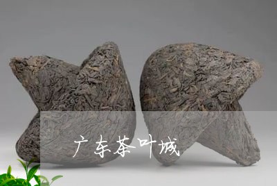 广东茶叶城/2023041745893