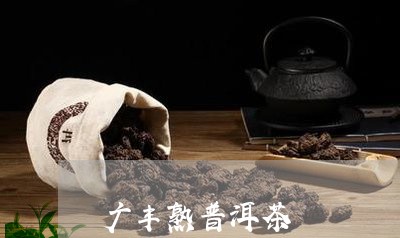 广丰熟普洱茶/2023042695254