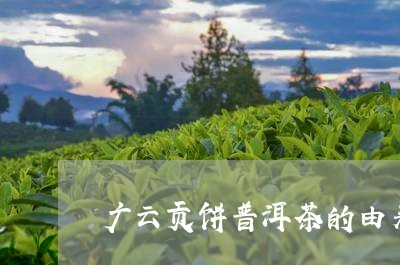 广云贡饼普洱茶的由来/2023092941593