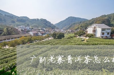 广别老寨普洱茶怎么样/2023092724151