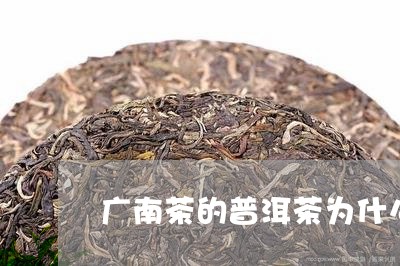 广南茶的普洱茶为什么不出名/2023052868250