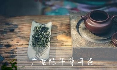 广南陈年普洱茶/2023082932959