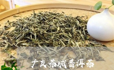 广友茶城普洱茶/2023112664826