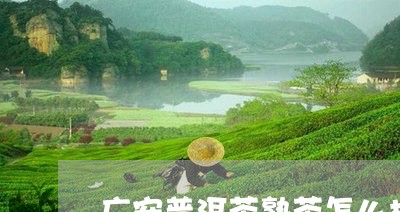 广安普洱茶熟茶怎么样好喝吗/2023110558350