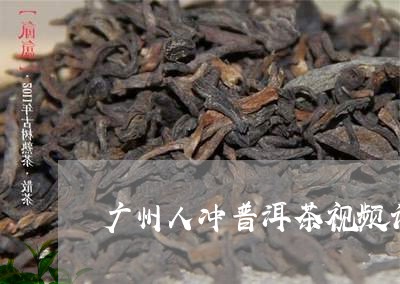 广州人冲普洱茶视频讲解/2023050535270