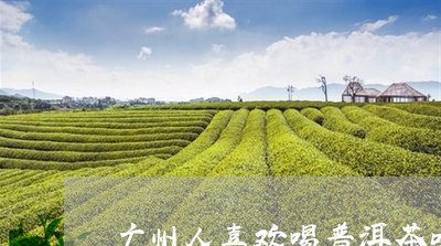 广州人喜欢喝普洱茶吗/2023093084937