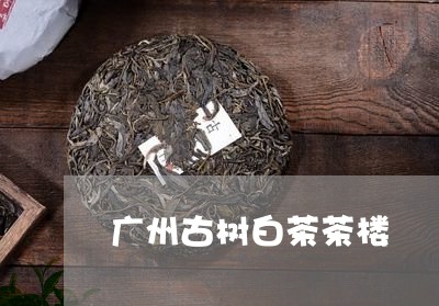 广州古树白茶茶楼/2023062020803