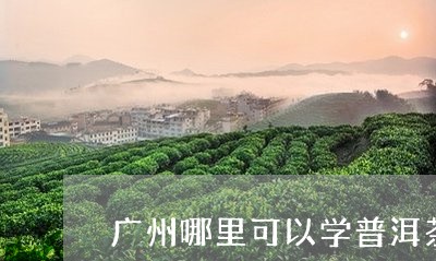 广州哪里可以学普洱茶/2023100851695