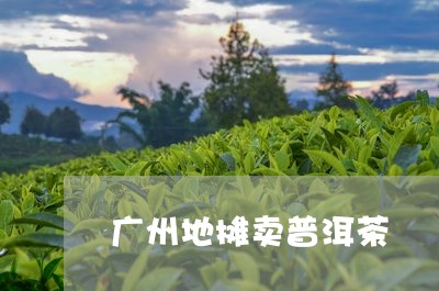 广州地摊卖普洱茶/2023120452514