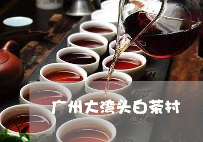 广州大湾头白茶村/2023062074835