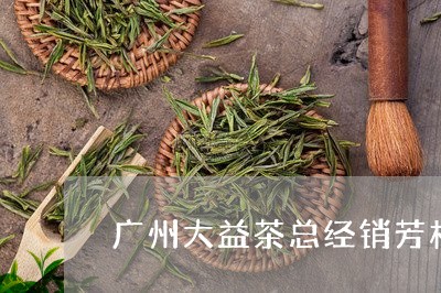 广州大益茶总经销芳村/2023071616137