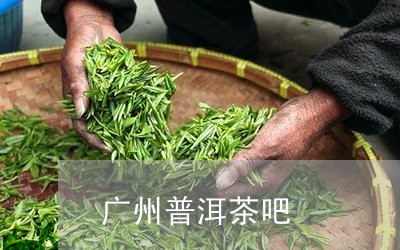 广州普洱茶吧/2023042736209