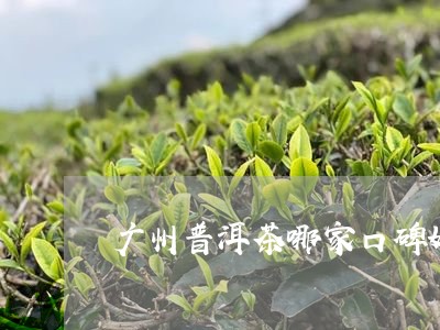 广州普洱茶哪家口碑好/2023092912606