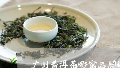 广州普洱茶哪家品牌好/2023110531692