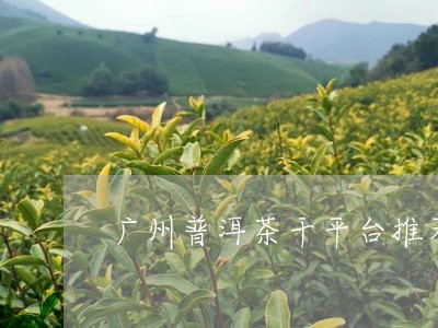 广州普洱茶干平台推荐/2023100726460