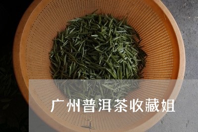 广州普洱茶收藏姐/2023112648271