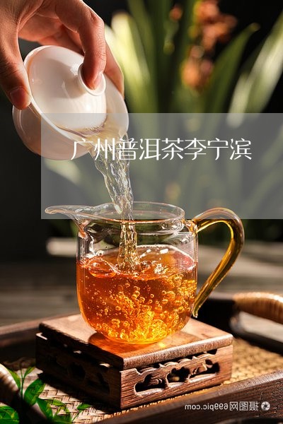 广州普洱茶李宁滨/2023100876048