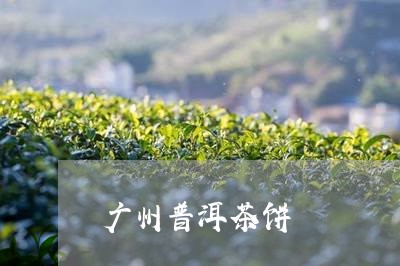 广州普洱茶饼/2023042619052