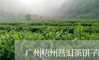 广州梧州普洱茶饼子的/2023100551726