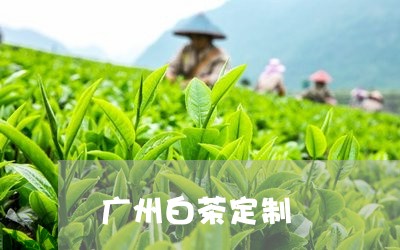 广州白茶定制/2023051255836