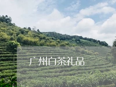 广州白茶礼品/2023051240382