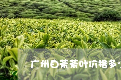 广州白茶茶叶价格多少钱/2023102537491