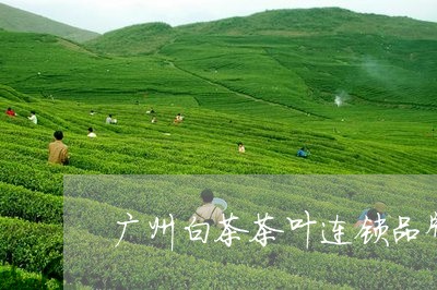 广州白茶茶叶连锁品牌/2023093093938