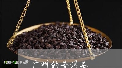 广州的普洱茶/2023042663898