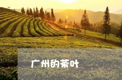 广州的茶叶/2023041726113