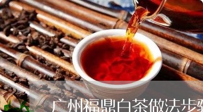 广州福鼎白茶做法步骤/2023120851583