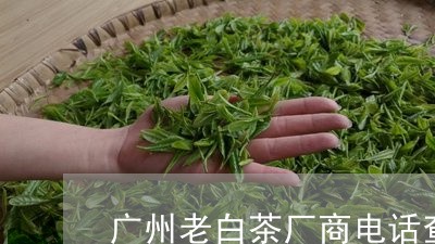 广州老白茶厂商电话查询/2023102585260