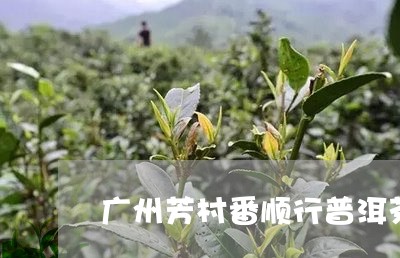 广州芳村番顺行普洱茶/2023072404130