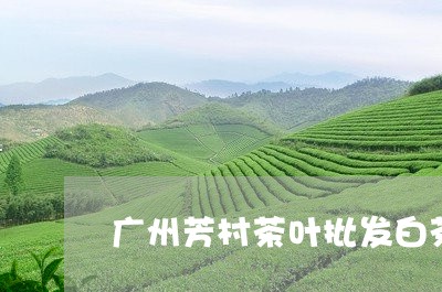 广州芳村茶叶批发白茶/2023093020794