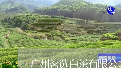 广州茗选白茶有限公司/2023093008270