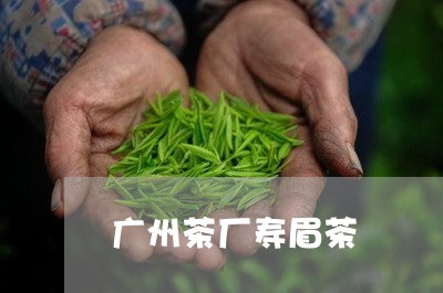 广州茶厂寿眉茶/2023112410573