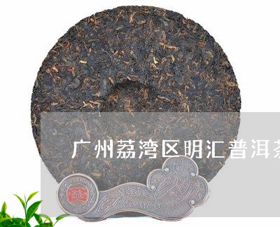 广州荔湾区明汇普洱茶/2023092706248