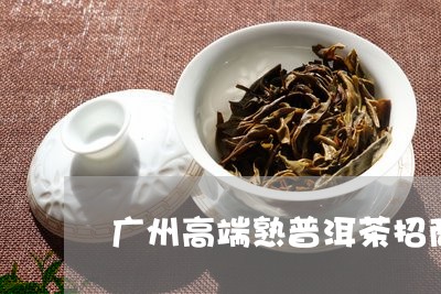 广州高端熟普洱茶招商/2023092593914