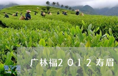 广林福2012寿眉/2023120423848