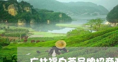 广林福白茶品牌招商政策/2023102561784