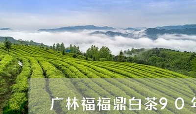 广林福福鼎白茶90年/2023120748262