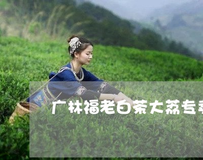 广林福老白茶大荔专卖店/2023102517068