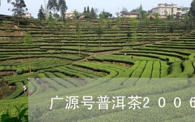 广源号普洱茶2006/2023100895258