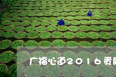 广福心道2016贡眉/2023092070403