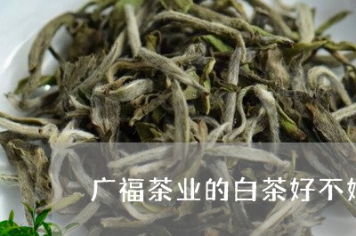 广福茶业的白茶好不好/2023093034037