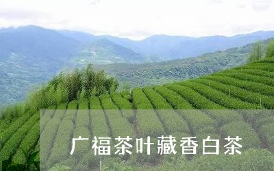 广福茶叶藏香白茶/2023062070826