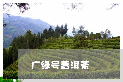 广缘号普洱茶/2023042953456